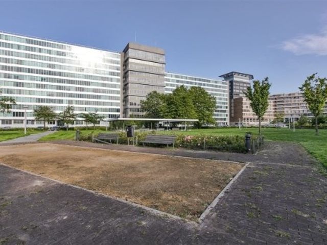 Bos en Lommerplantsoen ONG, Amsterdam