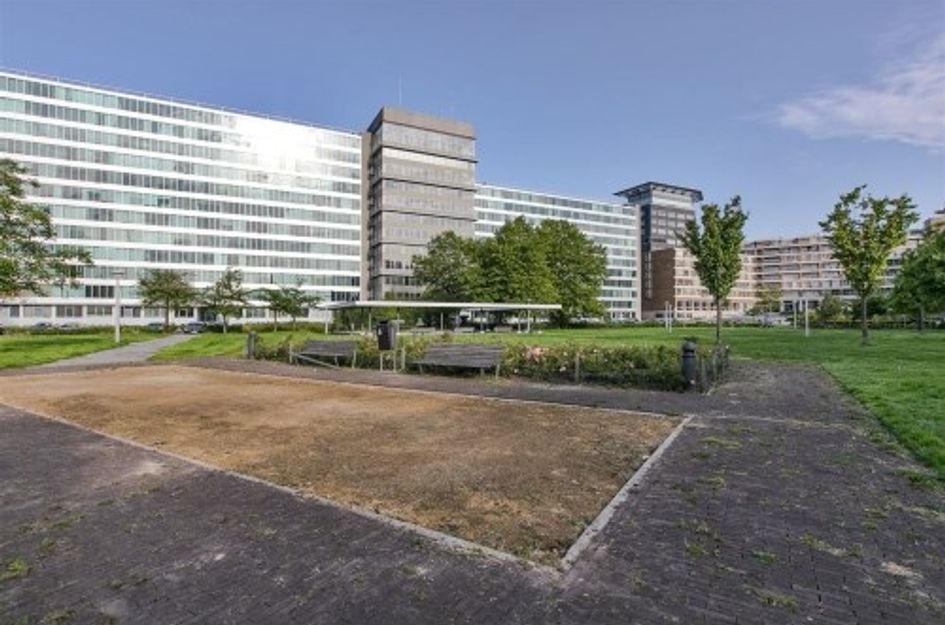 Bos en Lommerplantsoen ONG