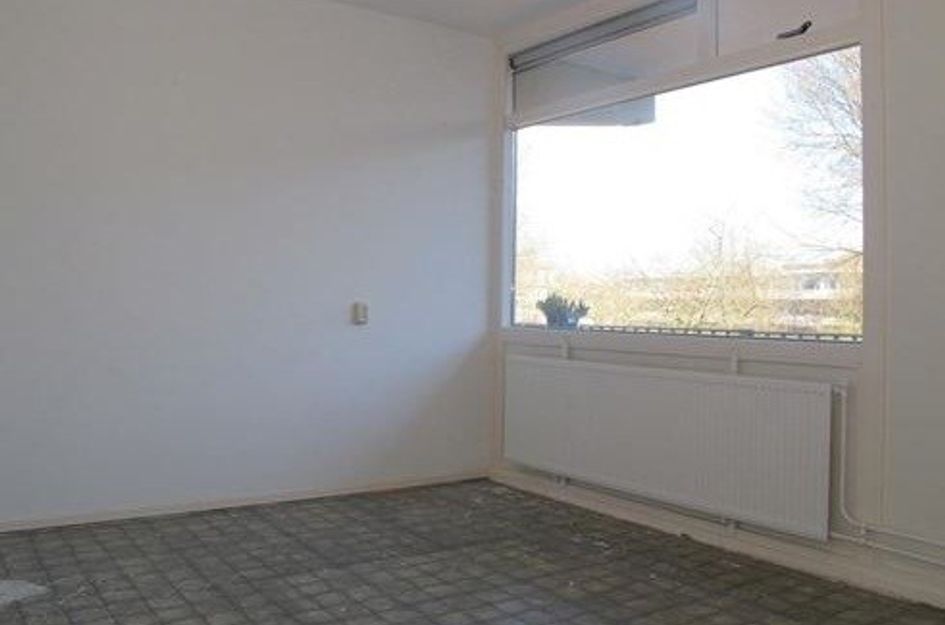 Bosboom-Toussaintplein ONG
