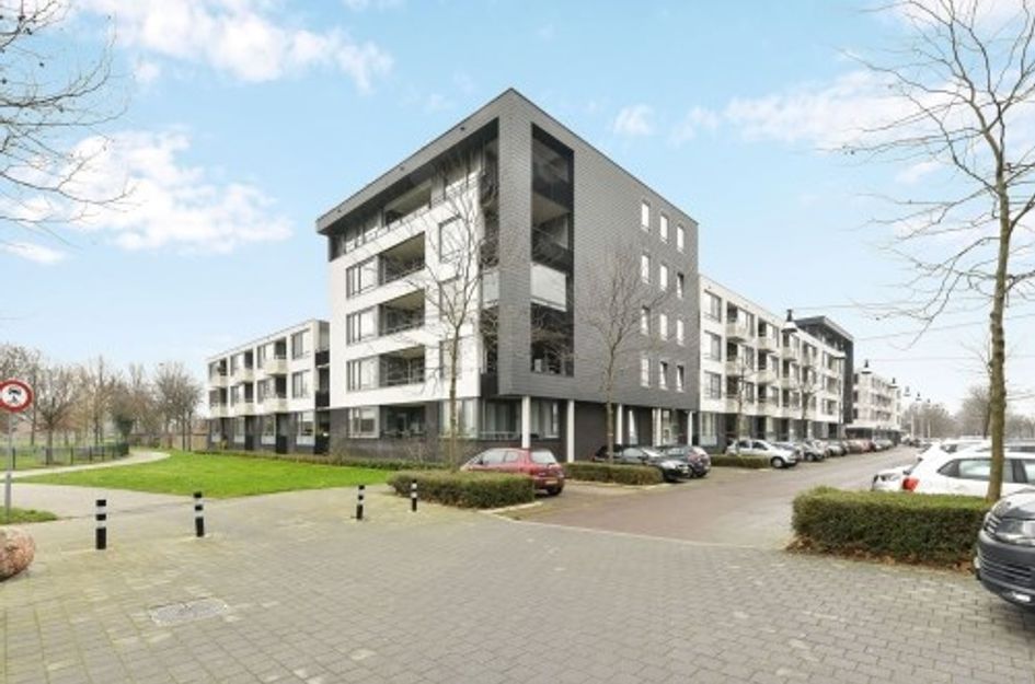 Manis Krijgsmanhof ONG