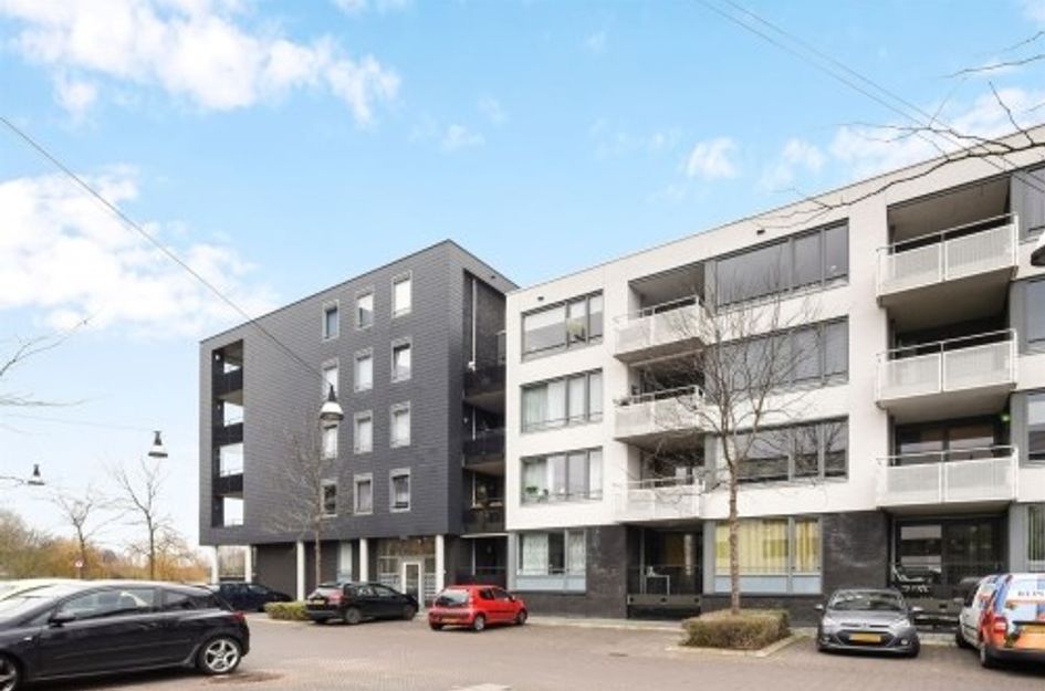 Manis Krijgsmanhof ONG