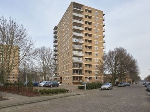 Hongarenburg ONG, 's-Gravenhage