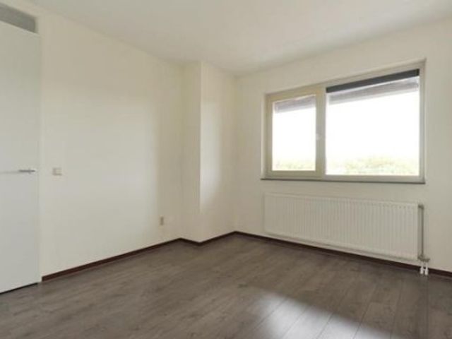 Bergermeerstraat ONG, 's-Gravenhage