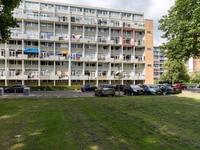 Van Bosseplantsoen ONG, Dordrecht