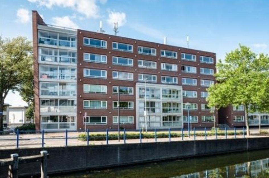 Havensingel ONG