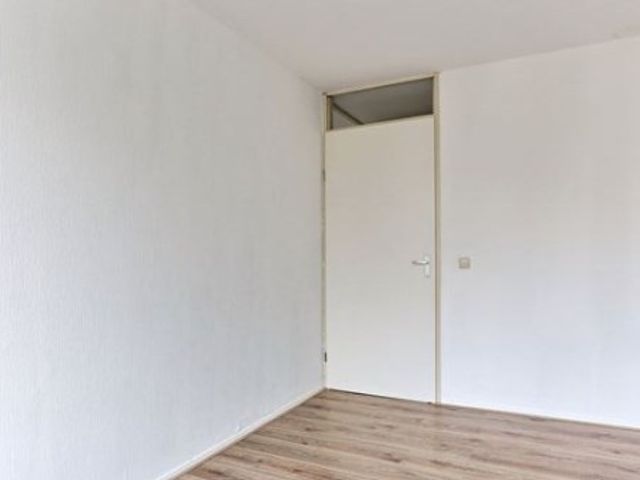 Clermontlunet ONG, Maastricht