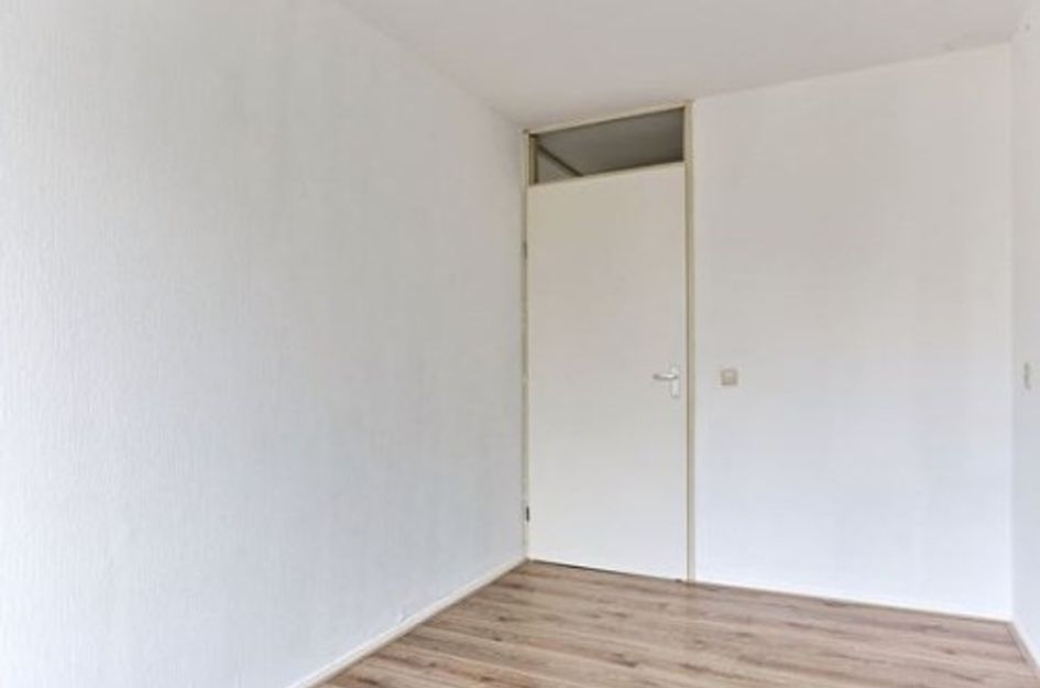Clermontlunet ONG