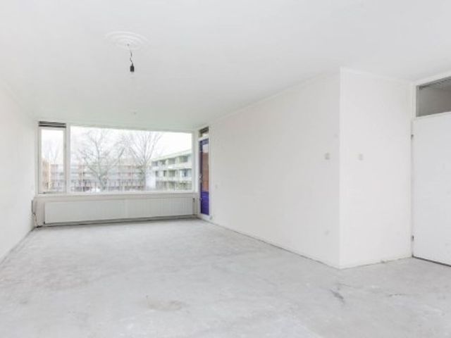 Meijhorst ONG, Nijmegen