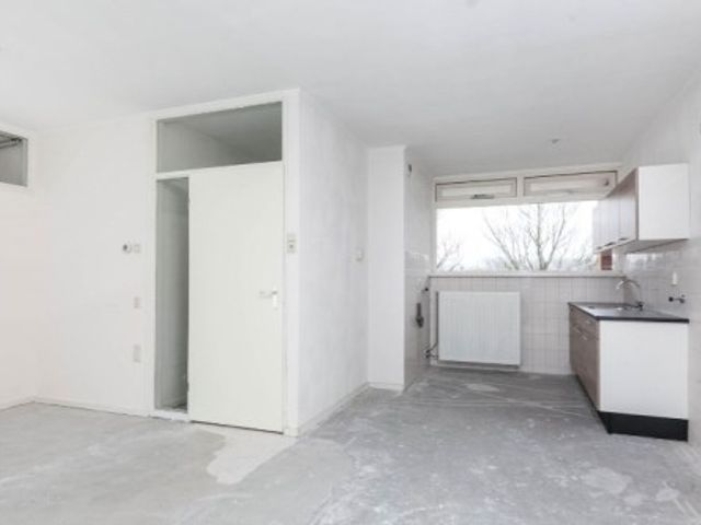 Meijhorst ONG, Nijmegen