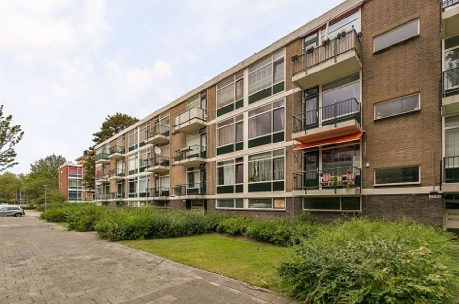 Kapershoek ONG