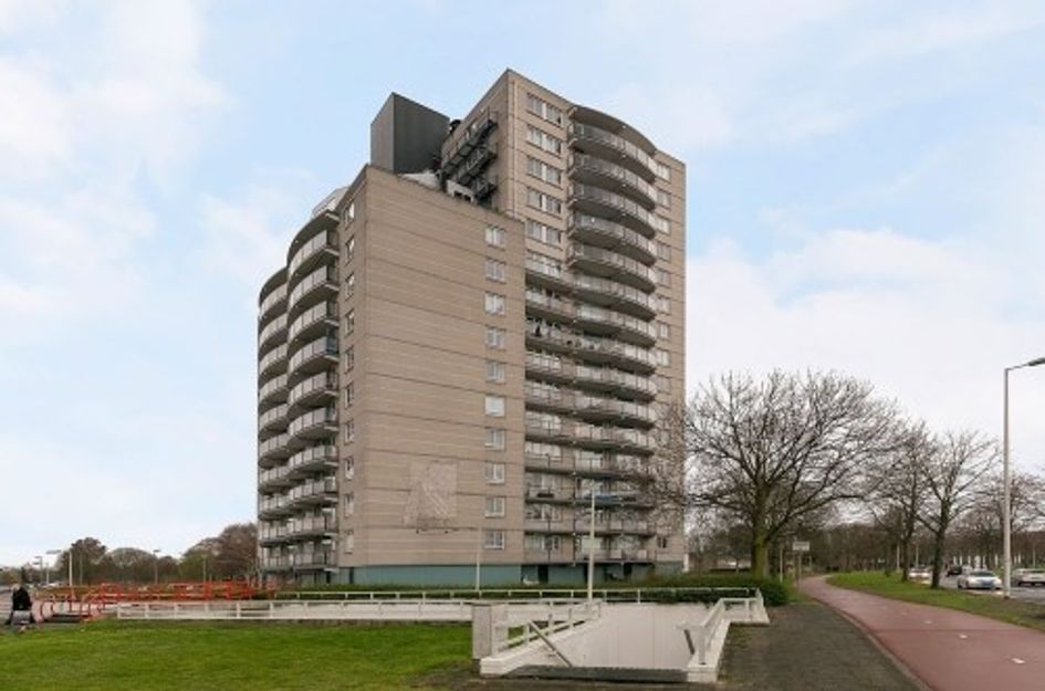 Den Uylsingel ONG