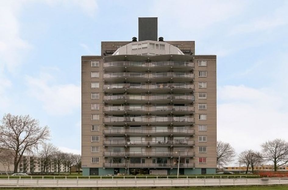 Den Uylsingel ONG