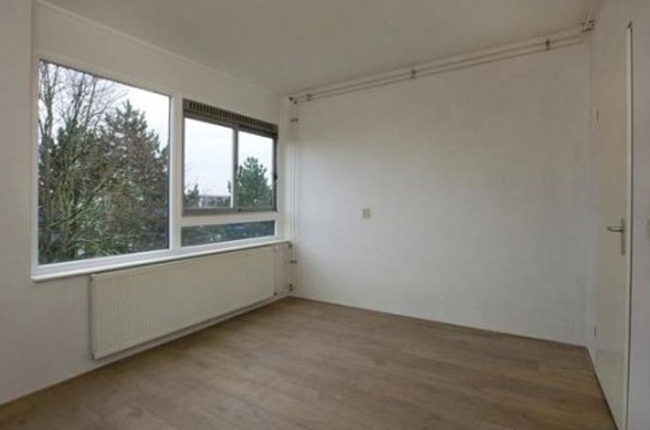 Ringbaan-Zuid ONG