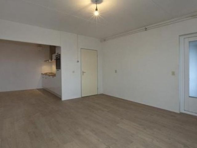 Ringbaan-Zuid ONG, Tilburg