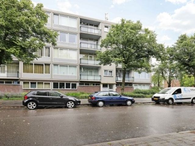 Marco Pololaan ONG, Utrecht