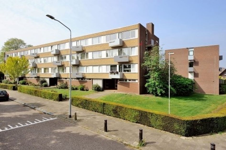 Hogeschoorweg ONG