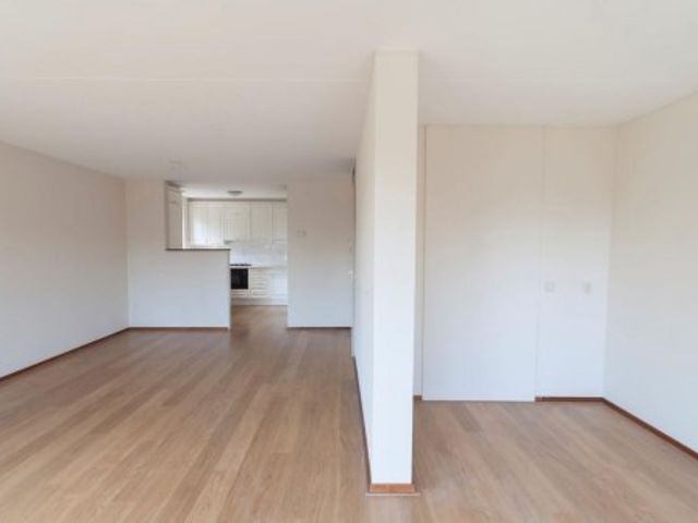 Pharus ONG, Zaandam