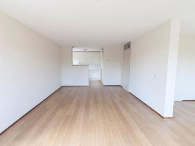 Pharus ONG, Zaandam