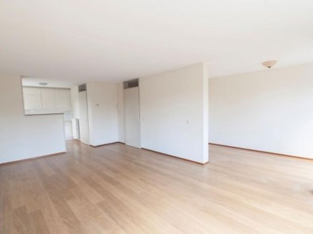 Pharus ONG, Zaandam