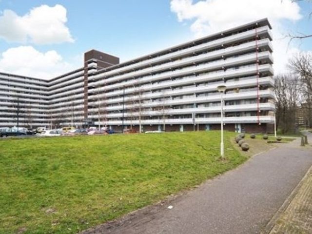 Belvédèrebos ONG, Zoetermeer