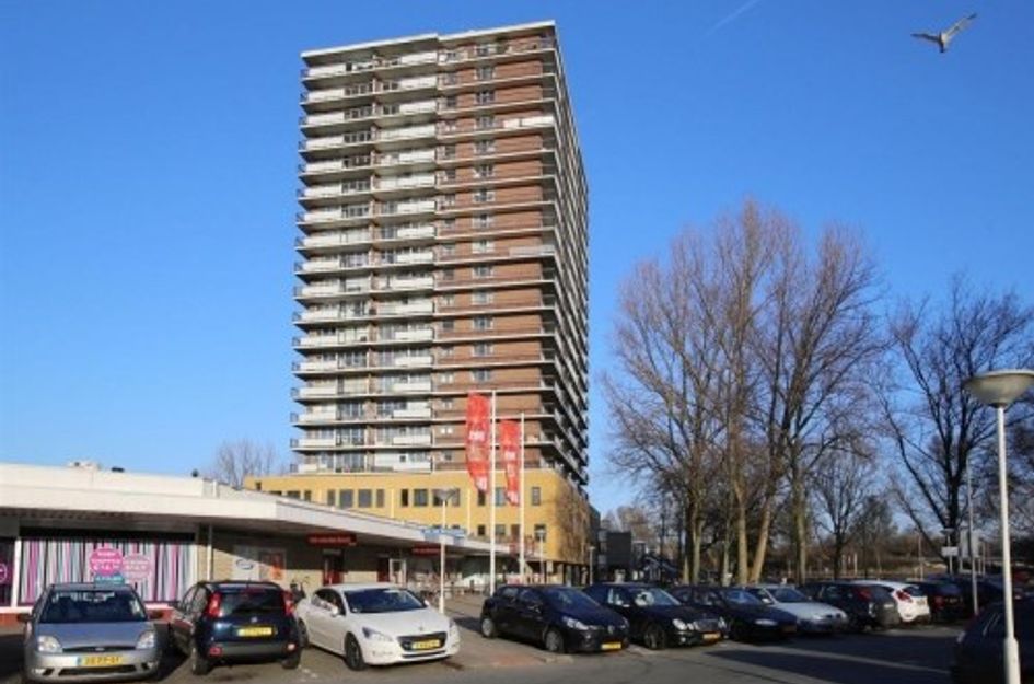 Croesinckplein ONG