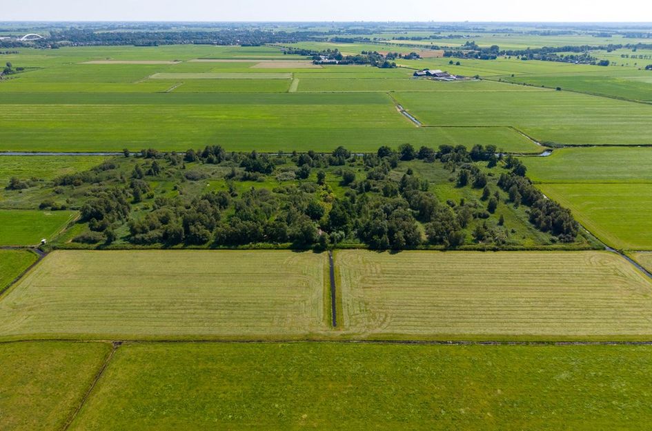 Niekerkerdiep 