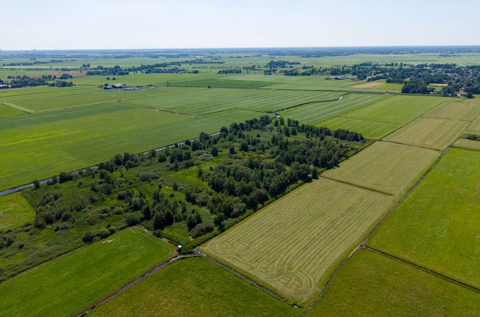 Niekerkerdiep 