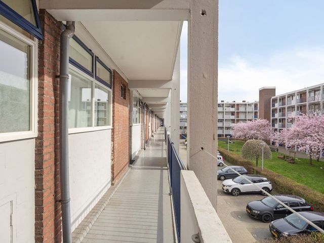 Otterrade 24, 's-Gravenhage