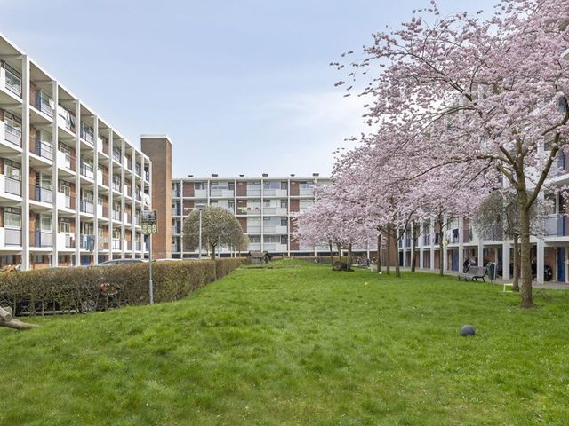 Otterrade 24, 's-Gravenhage