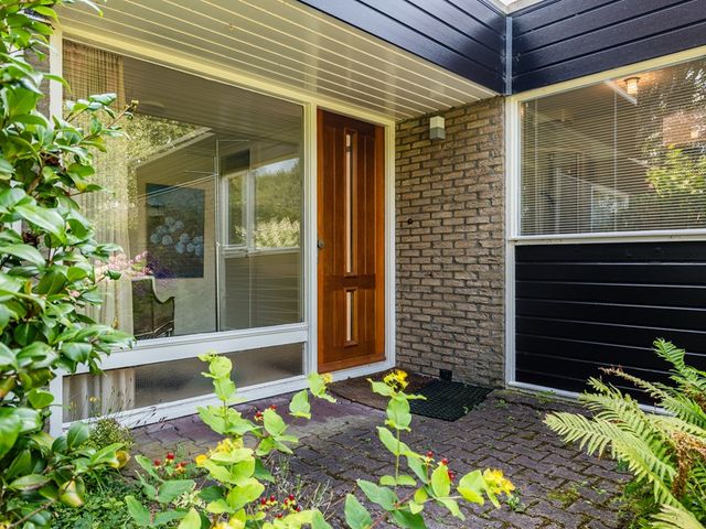 Hunzedal 24, Borger