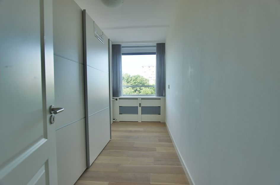 Meander 807