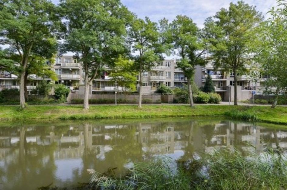Wamelplein 