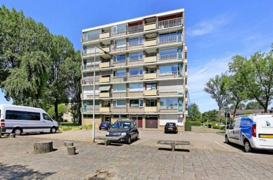 Wildenborglaan 