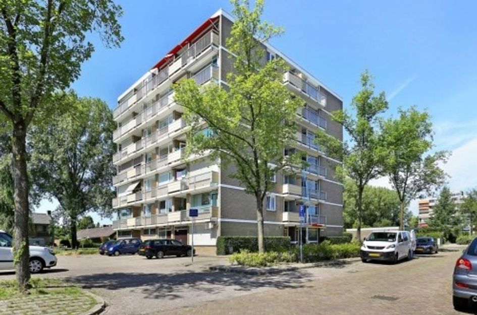 Wildenborglaan 