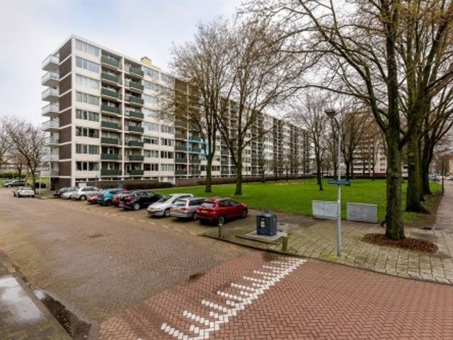 Ierlandstraat ONG, Haarlem