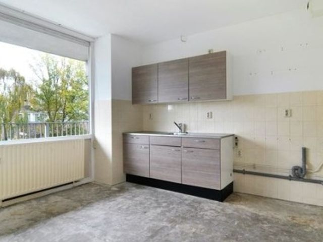 Brammershoop ONG, Haarlem