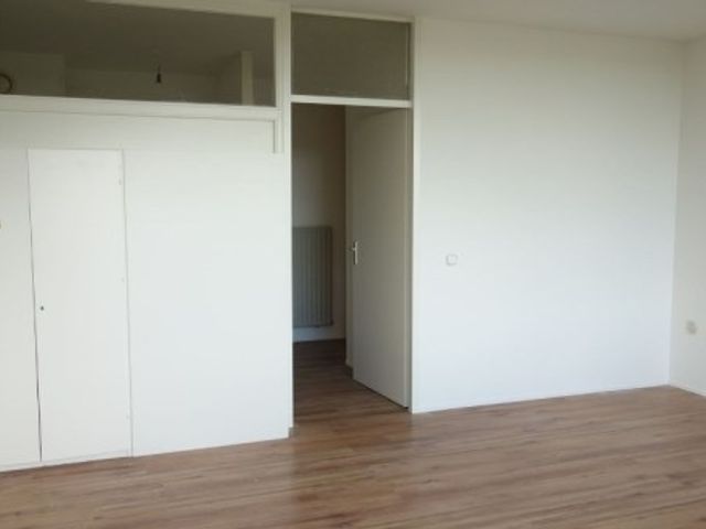 Pampus ONG, Haarlem