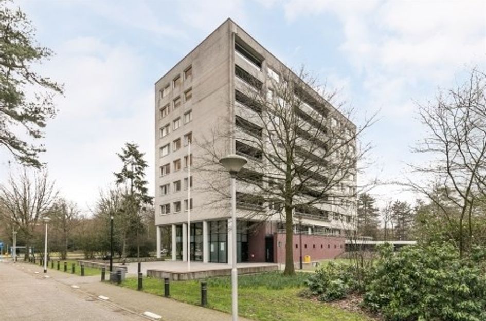 Magentahof ONG