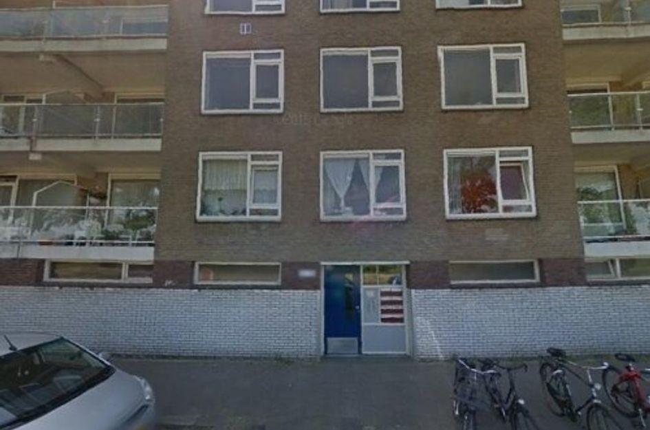 Vechtplantsoen ONG