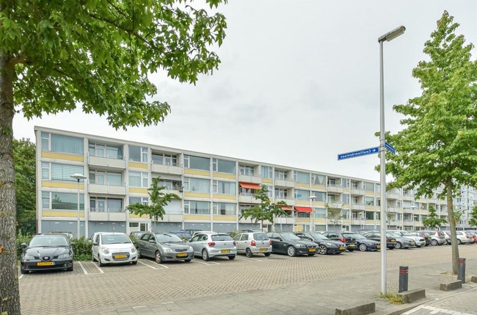 Eisenhowerlaan 