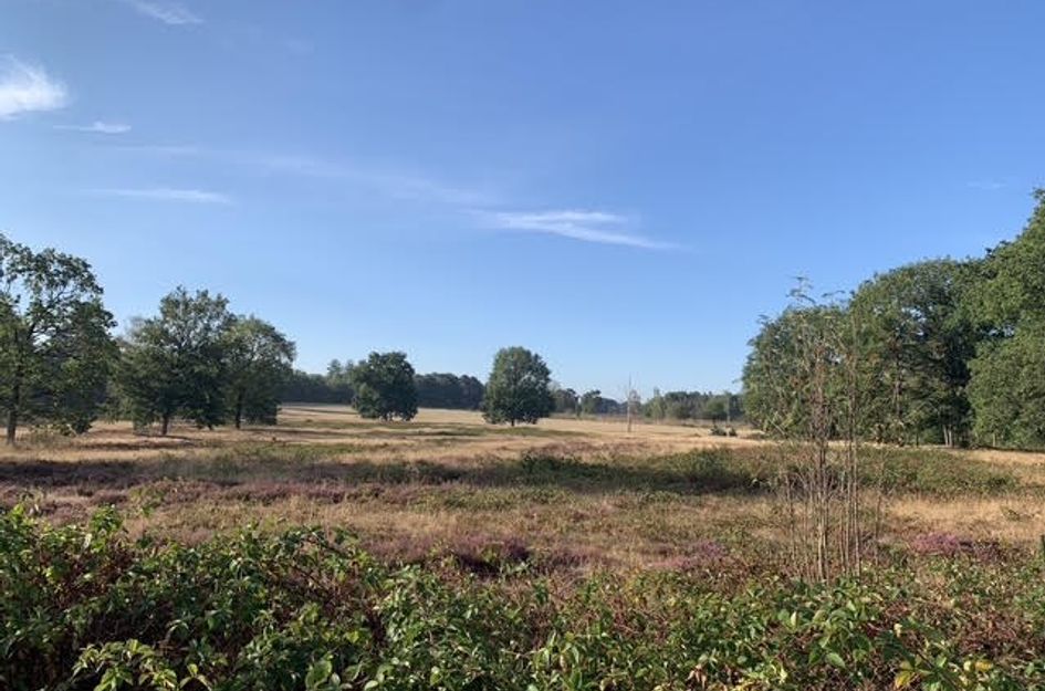 Vogelzangveldweg 23 22