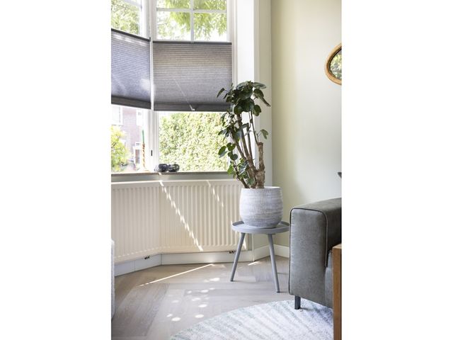 Meeuwenstraat 38, Haarlem