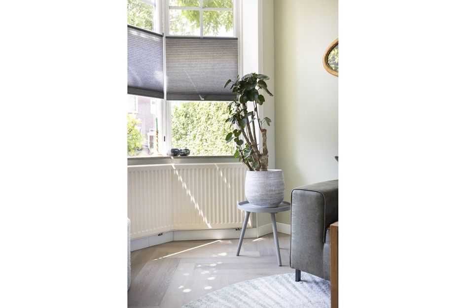 Meeuwenstraat 38