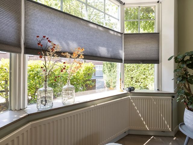 Meeuwenstraat 38, Haarlem
