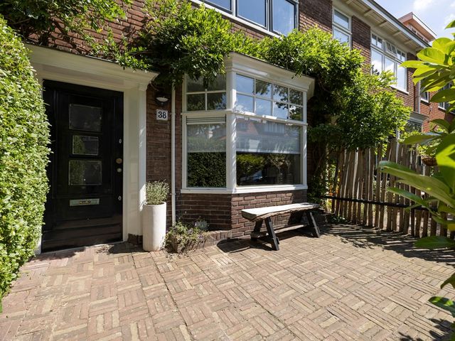 Meeuwenstraat 38, Haarlem