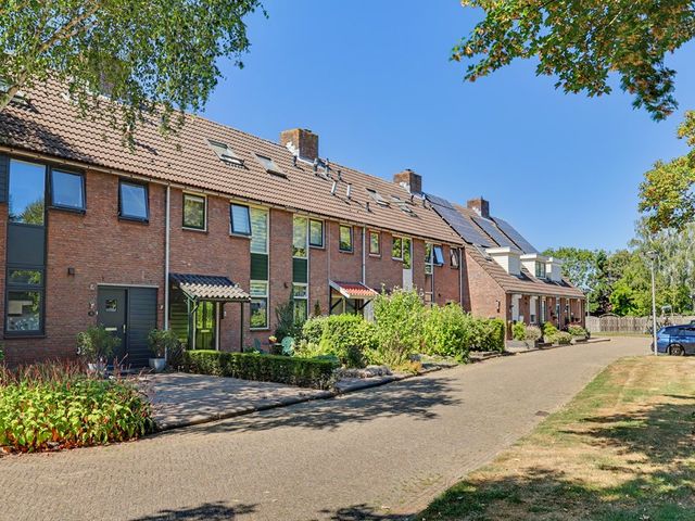 Lange Meet 16, Strijen