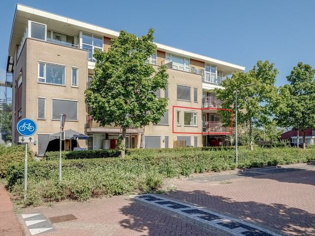 Elft 12, Avenhorn