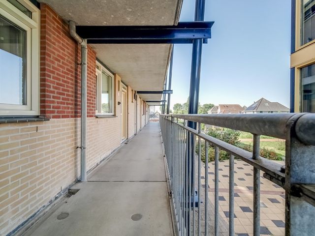 Elft 12, Avenhorn