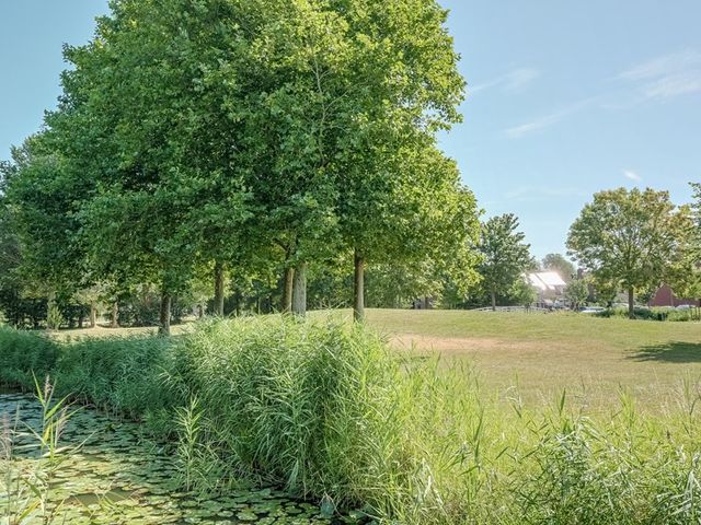 Elft 12, Avenhorn