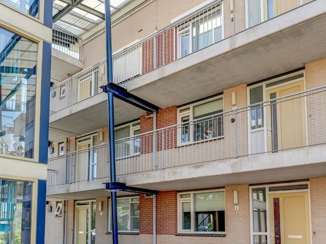 Elft 12, Avenhorn